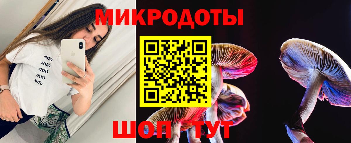 Галлюциногенные грибы Psilocybe  Вход с VPN  Орехово-Зуево 